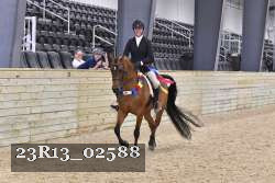 23R13_02588 thumbnail