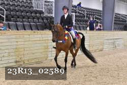 23R13_02589 thumbnail