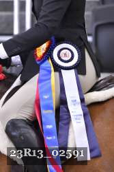 23R13_02591 thumbnail
