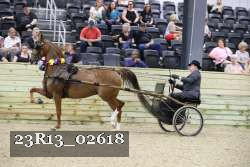 23R13_02618 thumbnail