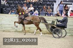 23R13_02619 thumbnail