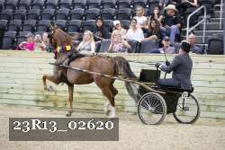 23R13_02620 thumbnail