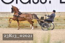 23R13_02621 thumbnail