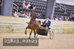 23R13_02623 thumbnail