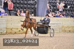 23R13_02624 thumbnail