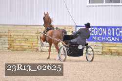 23R13_02625 thumbnail
