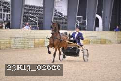 23R13_02626 thumbnail