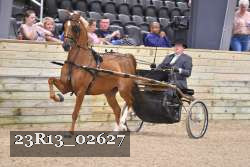 23R13_02627 thumbnail