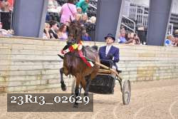 23R13_02629 thumbnail