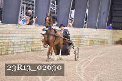 23R13_02630 thumbnail