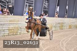 23R13_02631 thumbnail