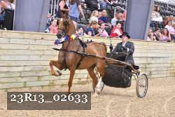 23R13_02633 thumbnail