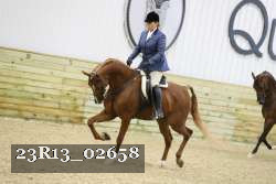 23R13_02658 thumbnail