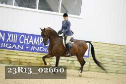 23R13_02660 thumbnail