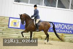 23R13_02661 thumbnail