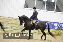 23R13_02662 thumbnail
