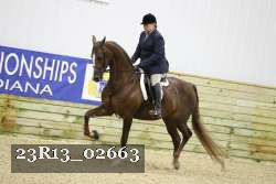 23R13_02663 thumbnail