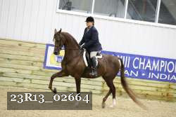 23R13_02664 thumbnail