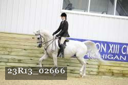 23R13_02666 thumbnail