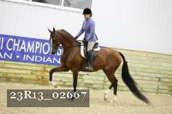 23R13_02667 thumbnail