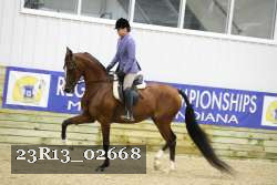 23R13_02668 thumbnail
