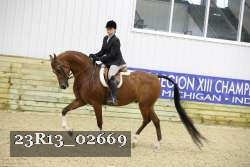 23R13_02669 thumbnail