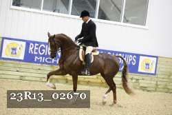 23R13_02670 thumbnail