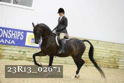 23R13_02671 thumbnail