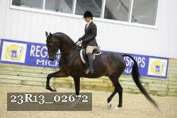 23R13_02672 thumbnail