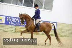 23R13_02675 thumbnail
