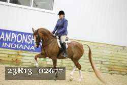 23R13_02677 thumbnail