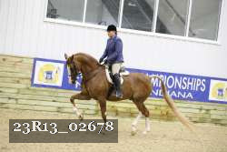 23R13_02678 thumbnail