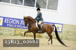 23R13_02681 thumbnail