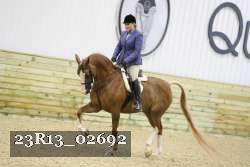 23R13_02692 thumbnail