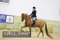 23R13_02697 thumbnail