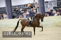 23R13_02703 thumbnail