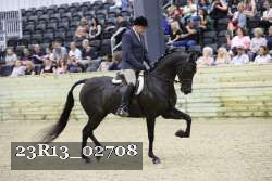 23R13_02708 thumbnail