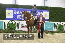 23R13_02732 thumbnail