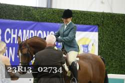 23R13_02734 thumbnail