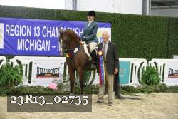 23R13_02735 thumbnail