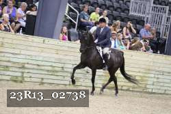 23R13_02738 thumbnail