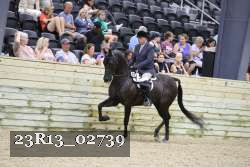 23R13_02739 thumbnail