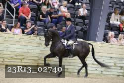 23R13_02740 thumbnail