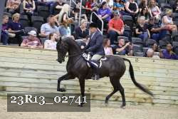 23R13_02741 thumbnail