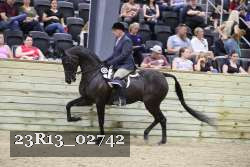 23R13_02742 thumbnail