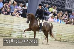 23R13_02743 thumbnail