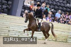 23R13_02744 thumbnail
