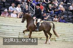23R13_02745 thumbnail