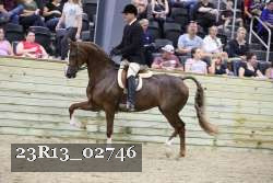 23R13_02746 thumbnail