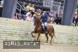 23R13_02747 thumbnail